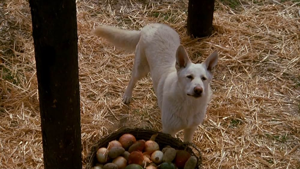 ミラクルマスター／七つの大冒険の画像