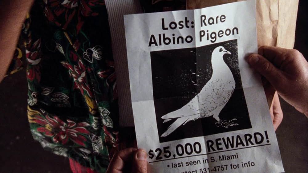 「エース・ベンチュラ」の画像