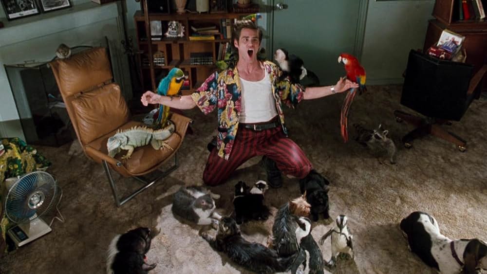 「エース・ベンチュラ」の画像