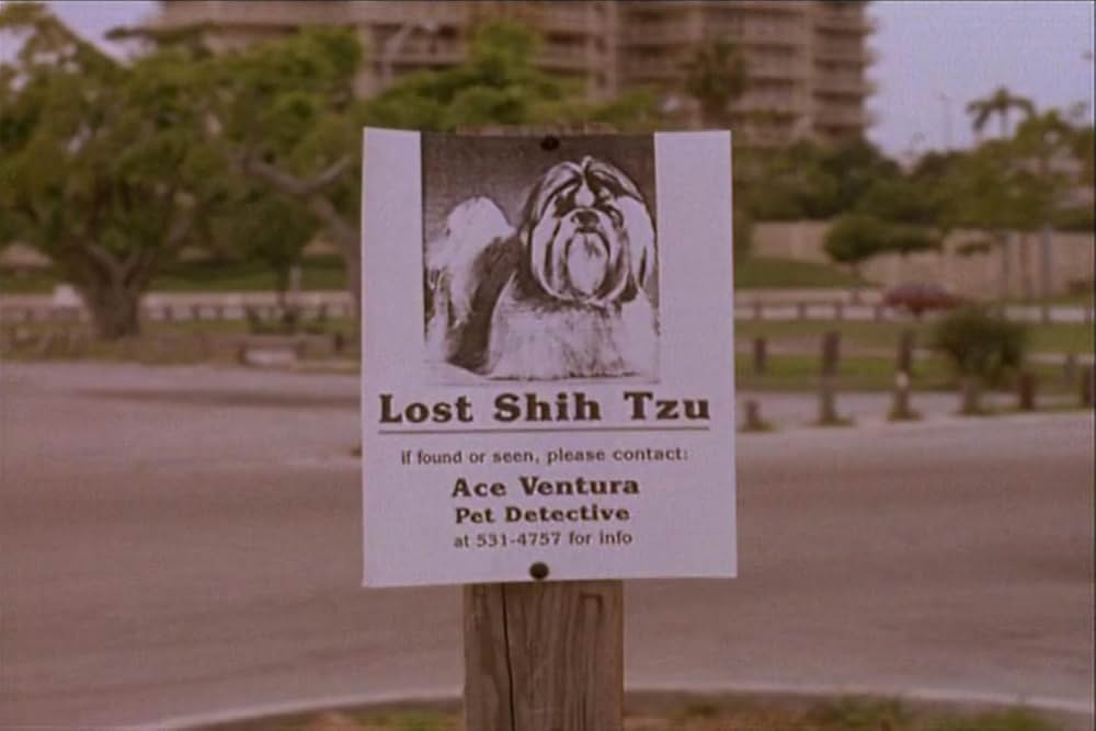 エース・ベンチュラの画像