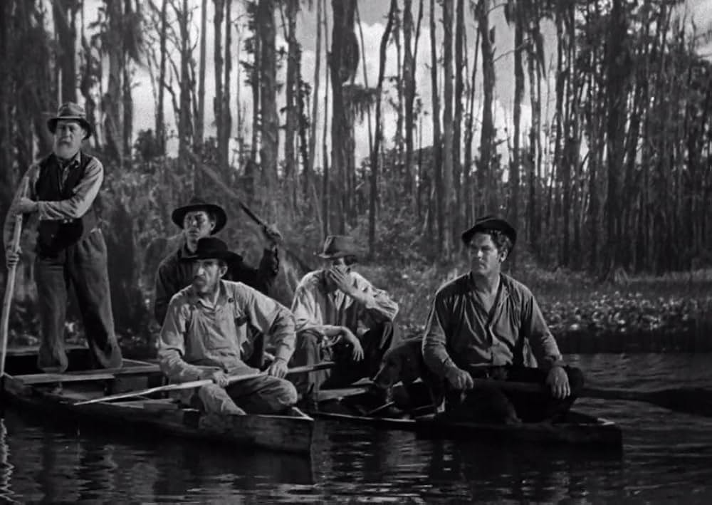 スワンプ・ウォーターの画像