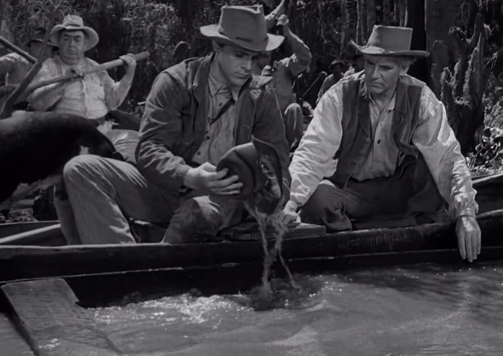 スワンプ・ウォーターの画像