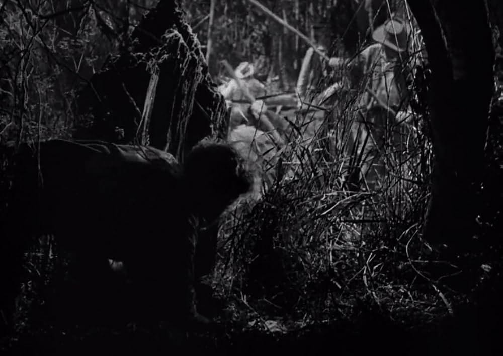 スワンプ・ウォーターの画像