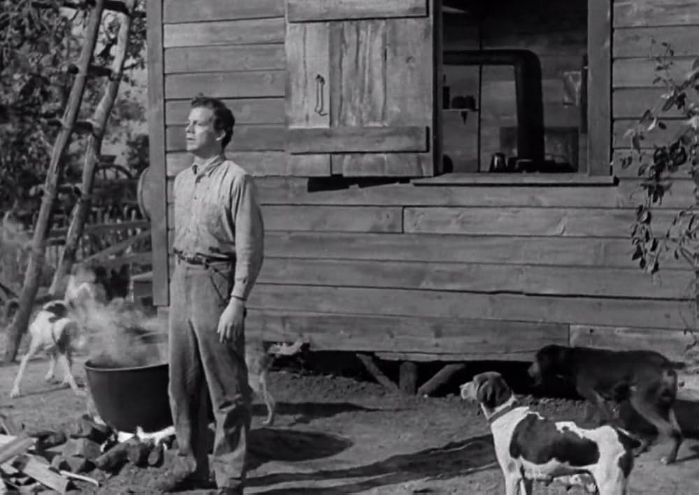 スワンプ・ウォーターの画像