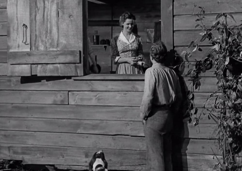 スワンプ・ウォーターの画像