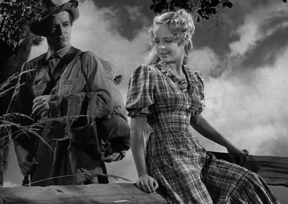 スワンプ・ウォーターの画像