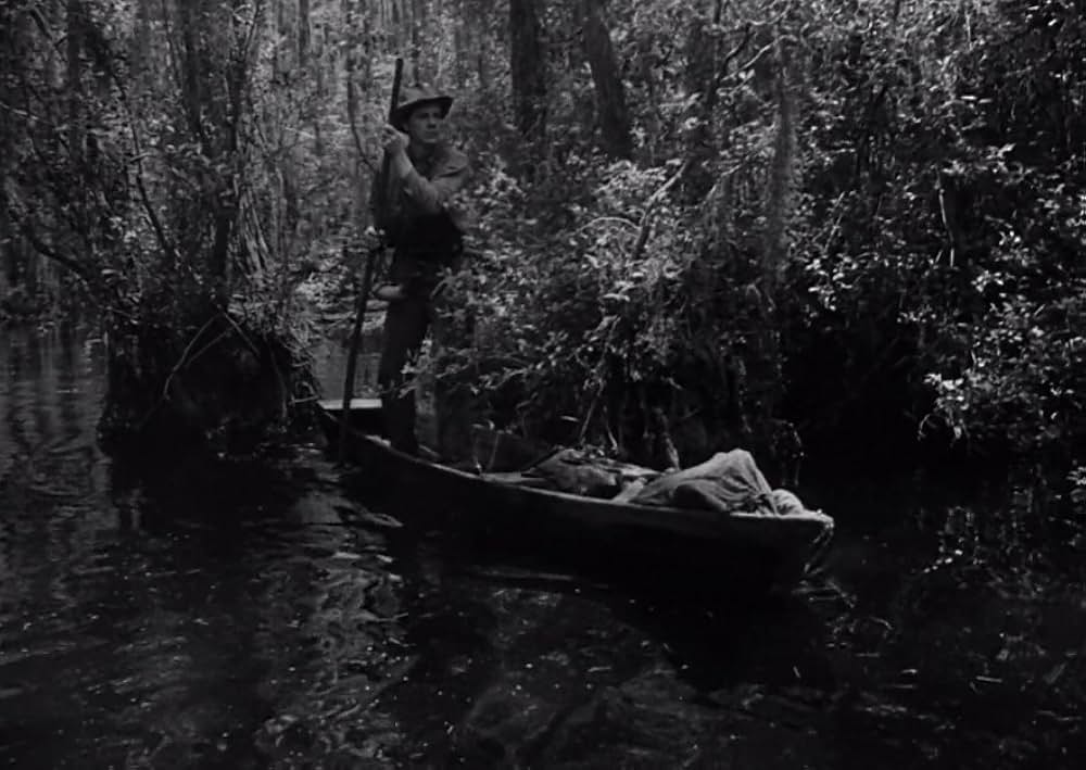 スワンプ・ウォーターの画像