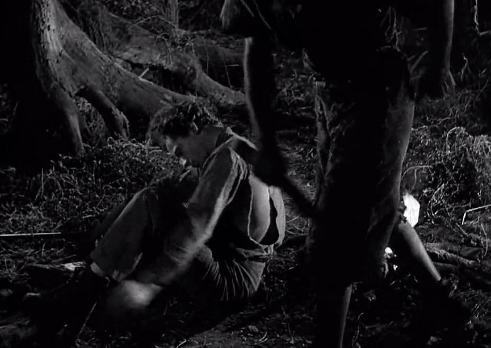 スワンプ・ウォーターの画像