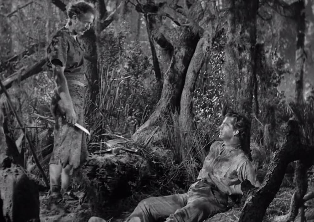 スワンプ・ウォーターの画像