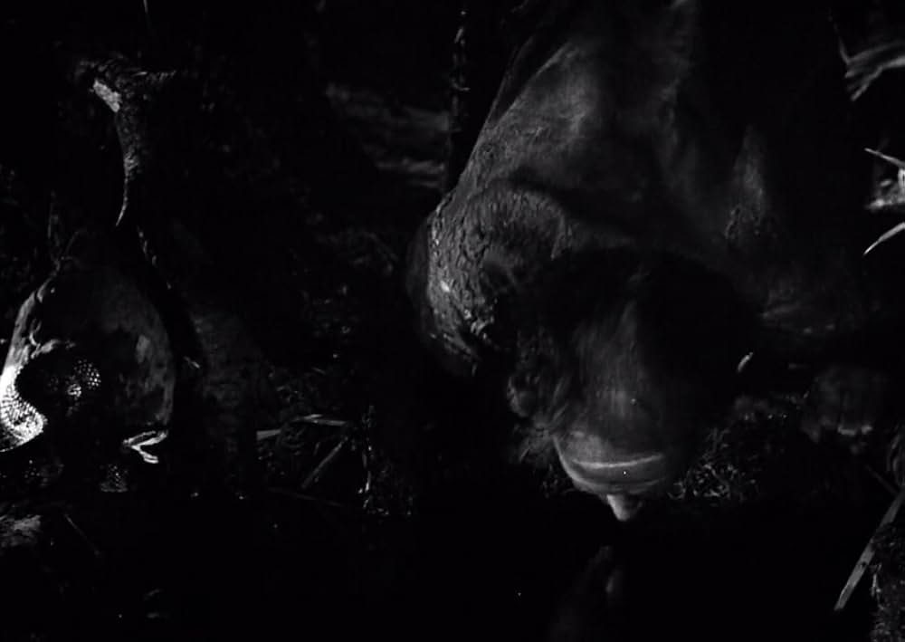 スワンプ・ウォーターの画像