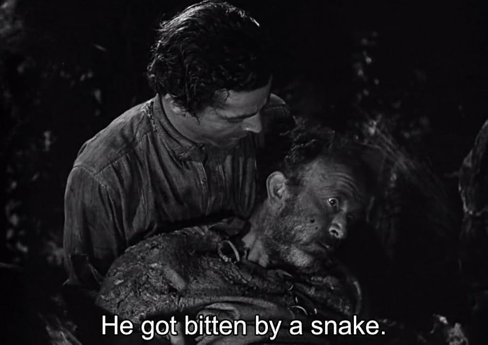 スワンプ・ウォーターの画像