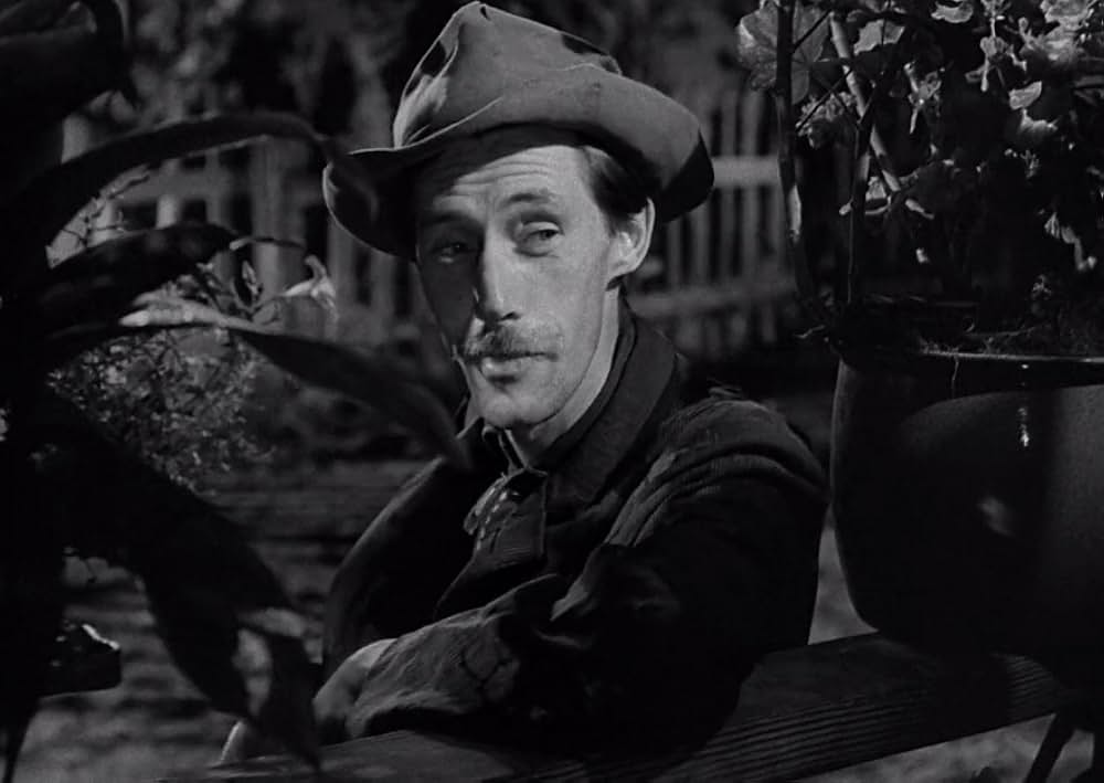 スワンプ・ウォーターの画像