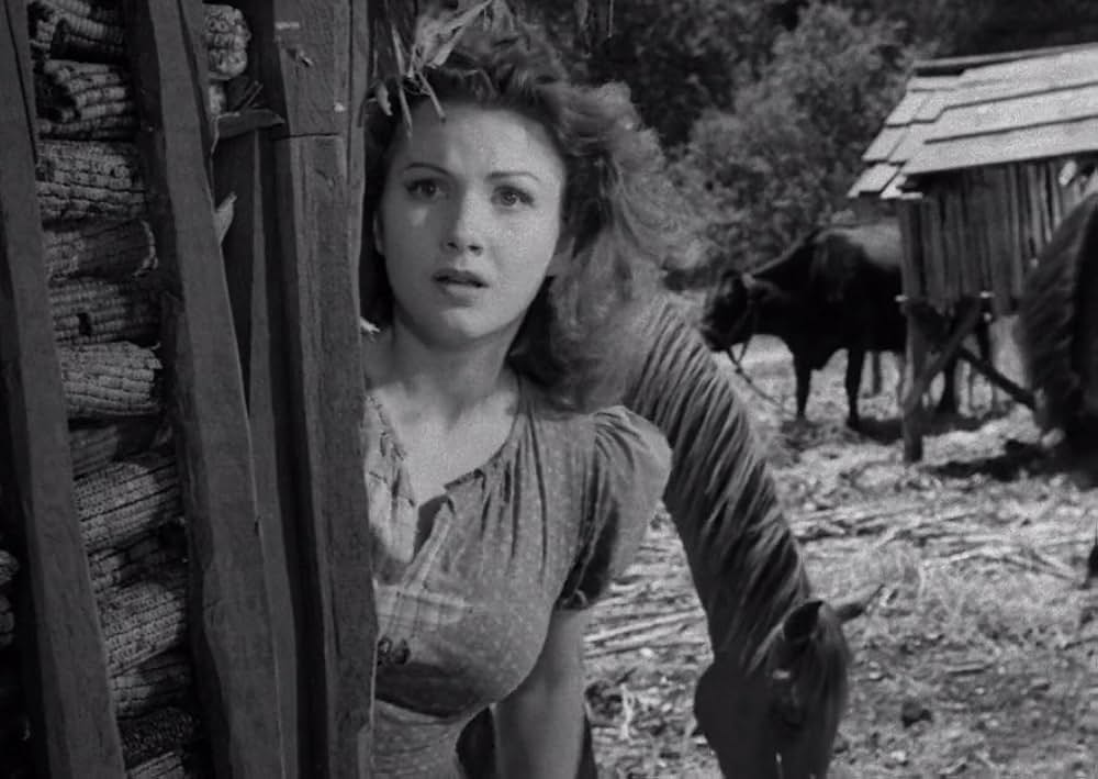 スワンプ・ウォーターの画像