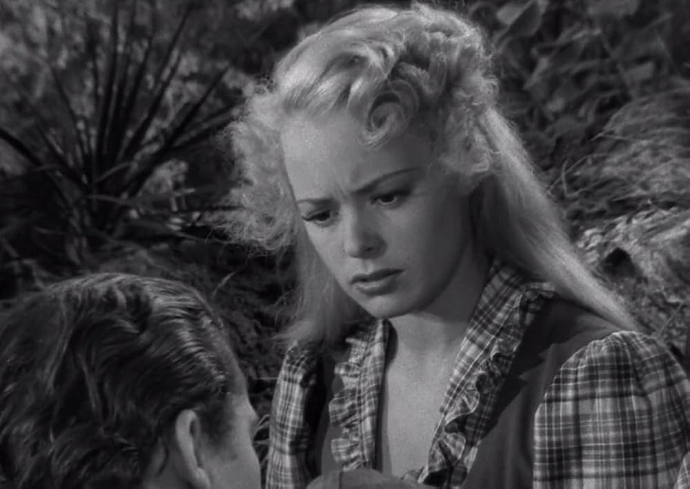 スワンプ・ウォーターの画像