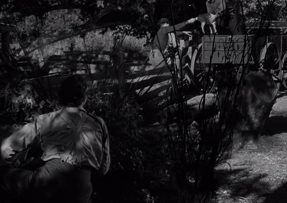 スワンプ・ウォーターの画像