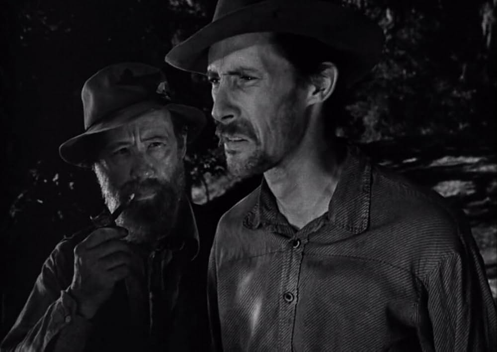 スワンプ・ウォーターの画像