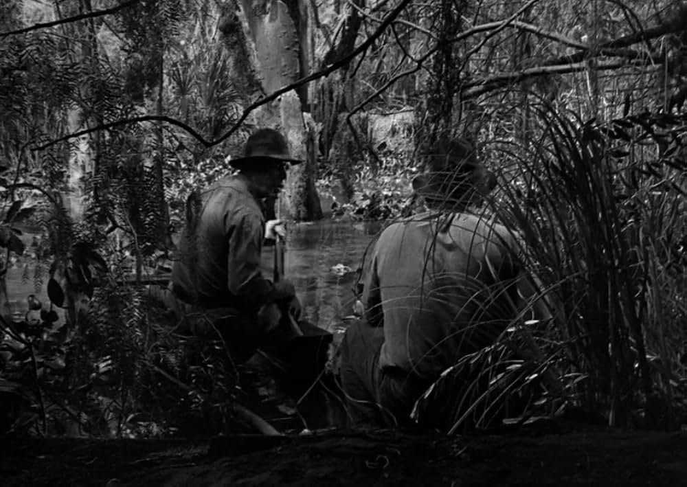 スワンプ・ウォーターの画像