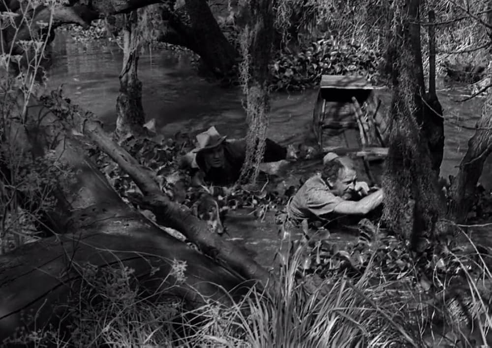 スワンプ・ウォーターの画像