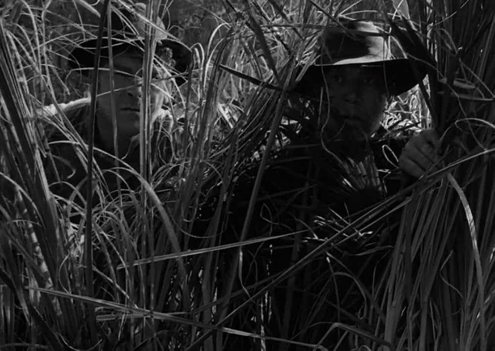 スワンプ・ウォーターの画像