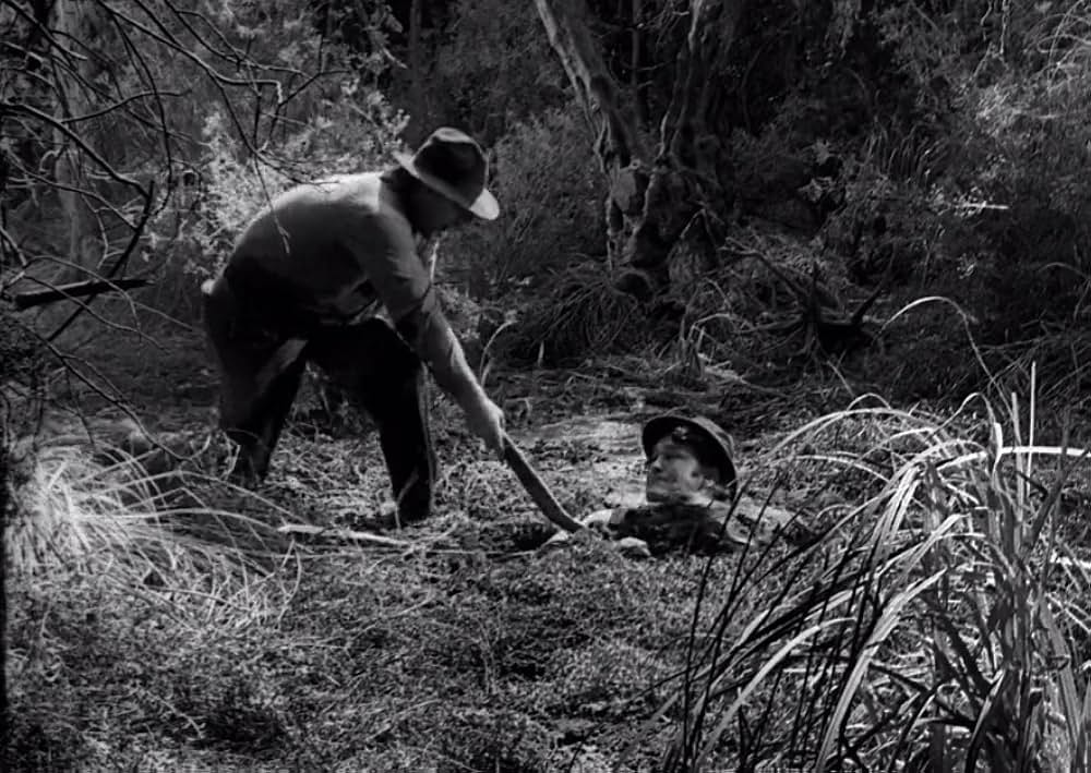 スワンプ・ウォーターの画像