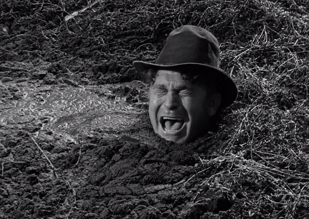 スワンプ・ウォーターの画像