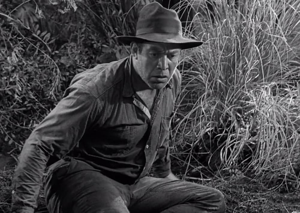 スワンプ・ウォーターの画像