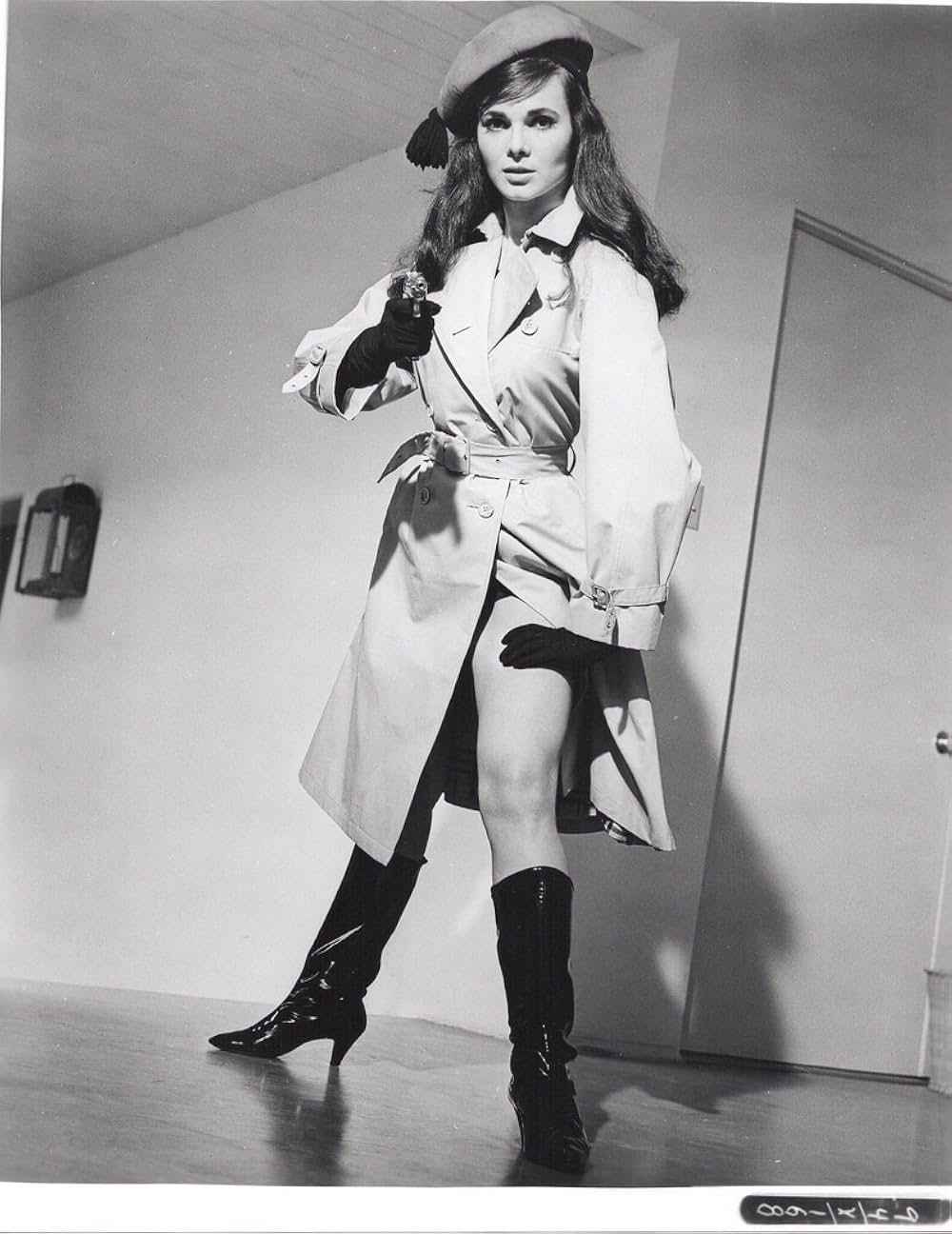 電撃フリントGO！GO作戦の画像