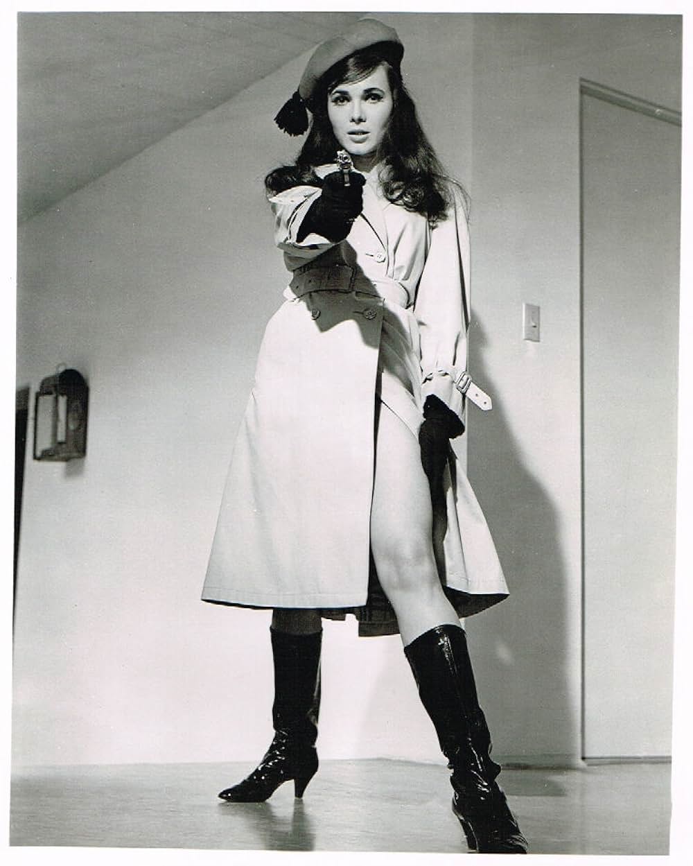 電撃フリントGO！GO作戦の画像