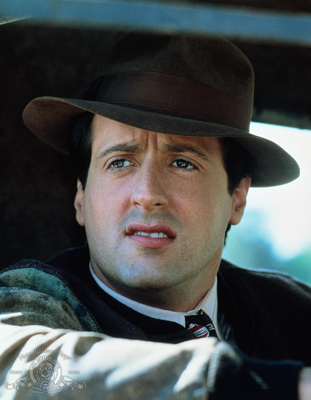 フィストの画像