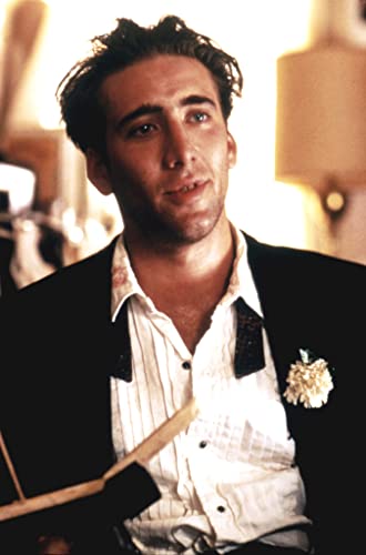 バーディの画像