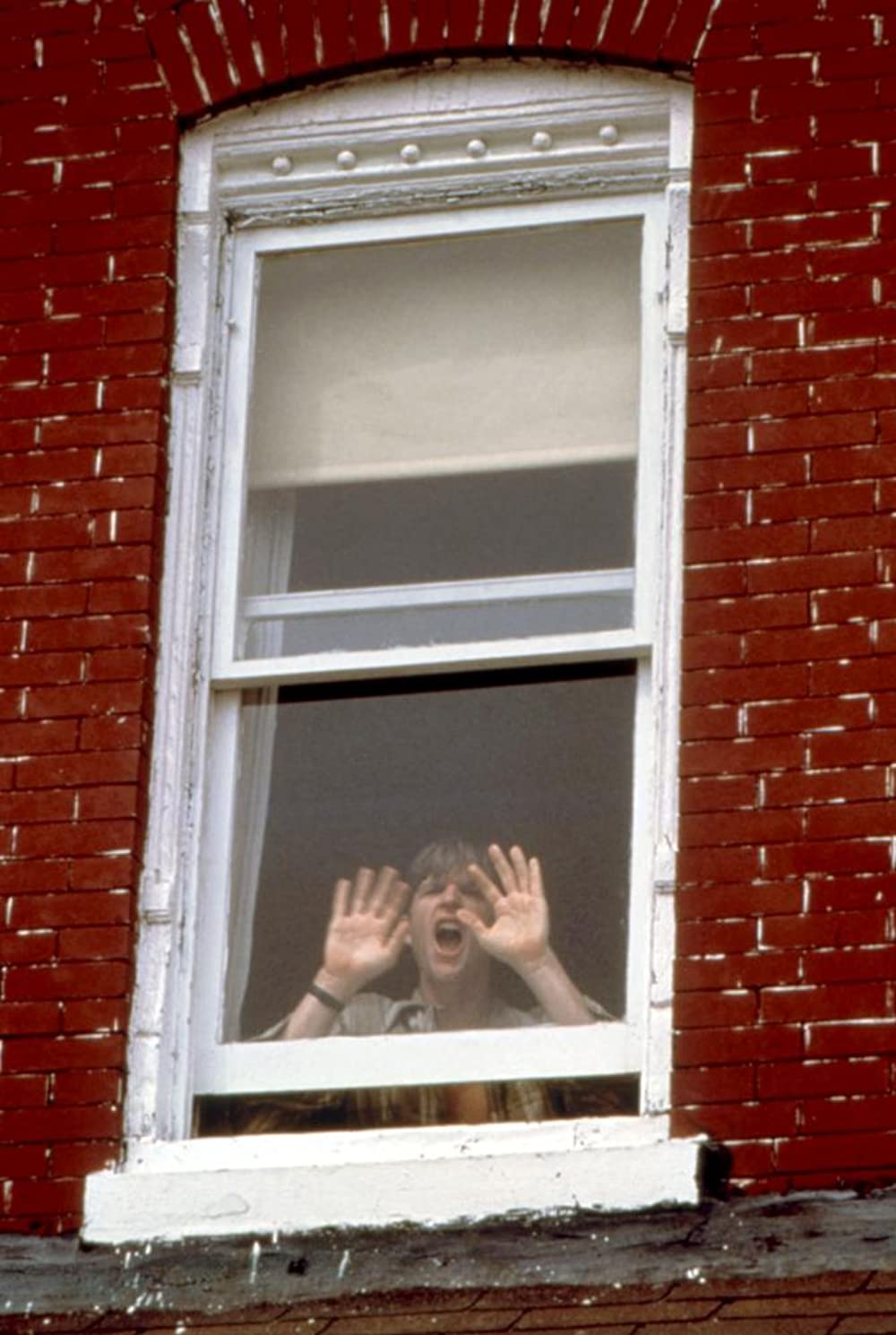 バーディの画像