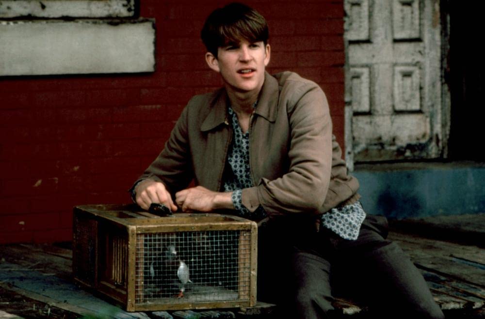 バーディの画像