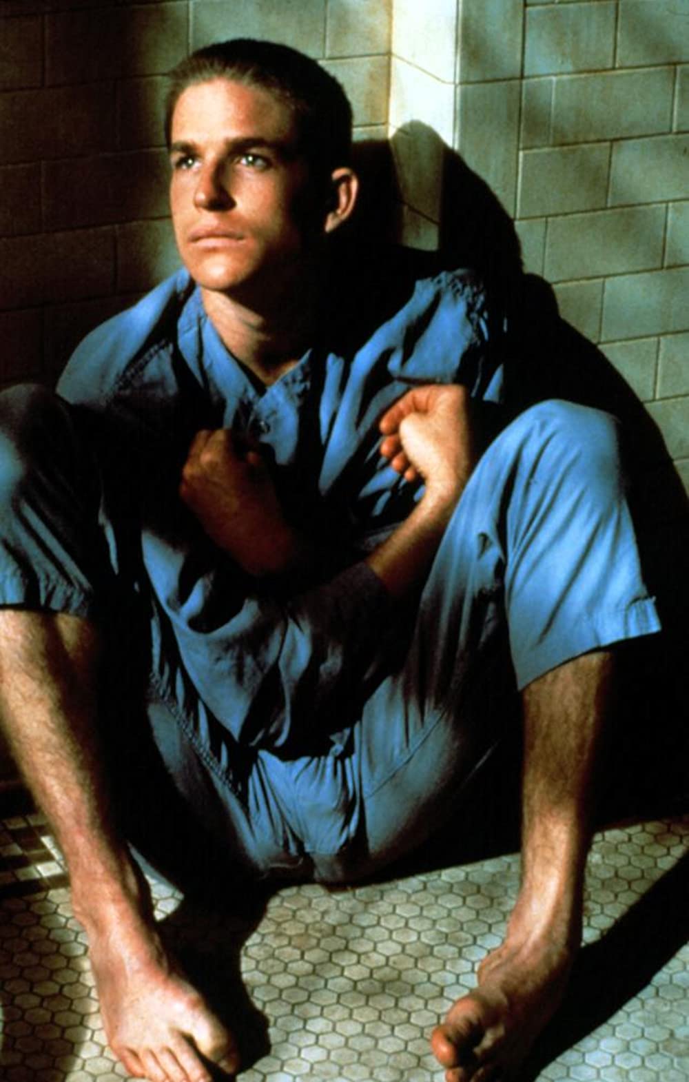 バーディの画像