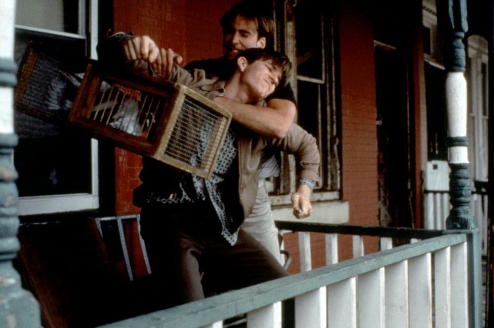 バーディの画像