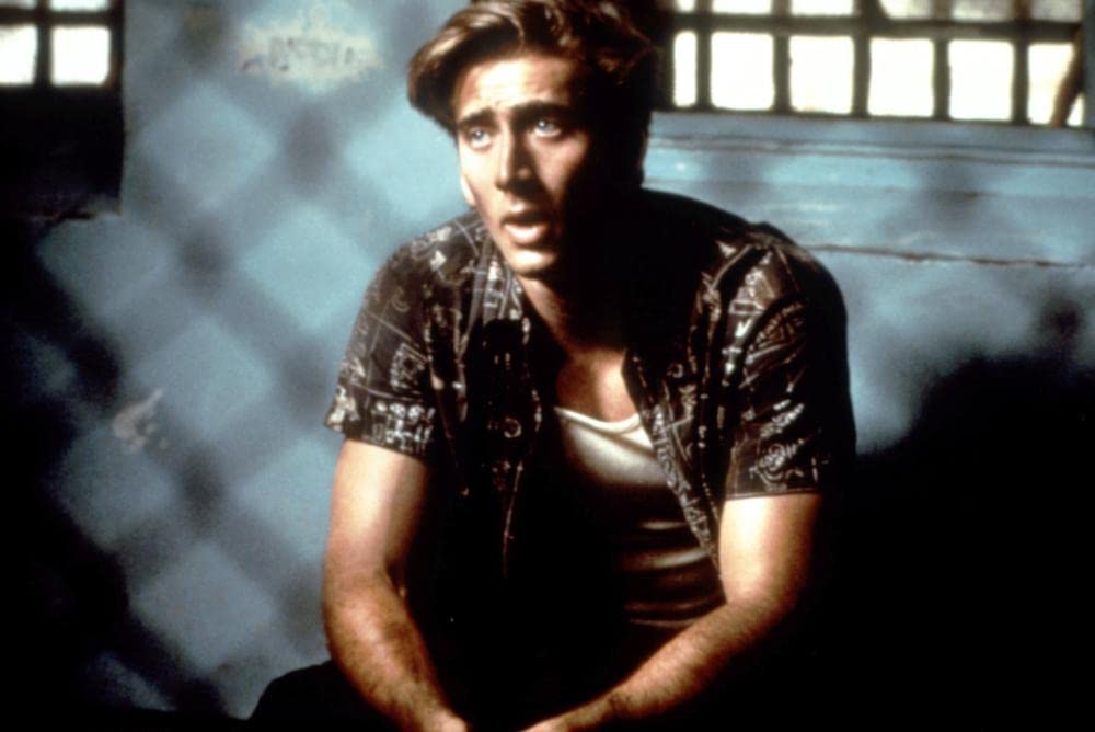 バーディの画像