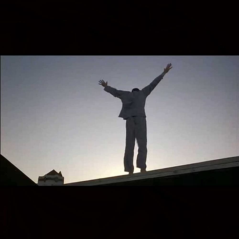 バーディの画像