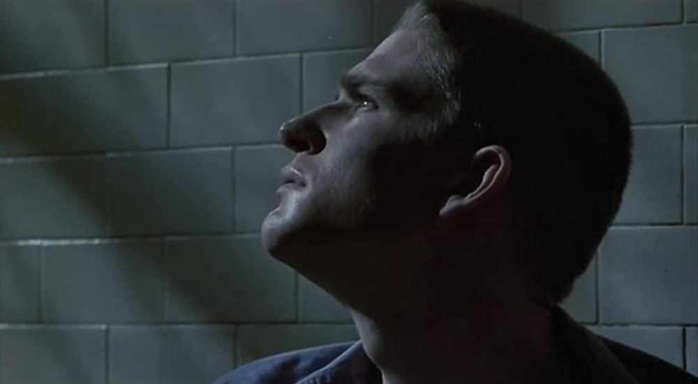 バーディの画像