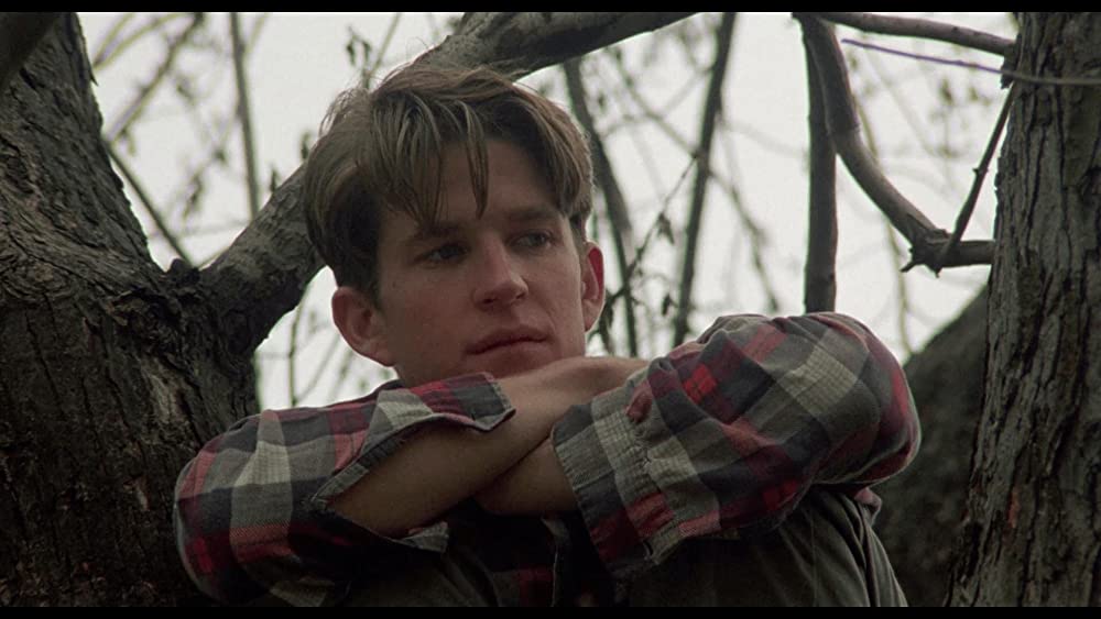 バーディの画像