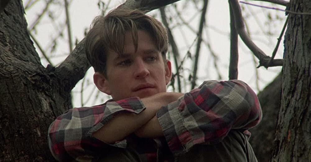 バーディの画像