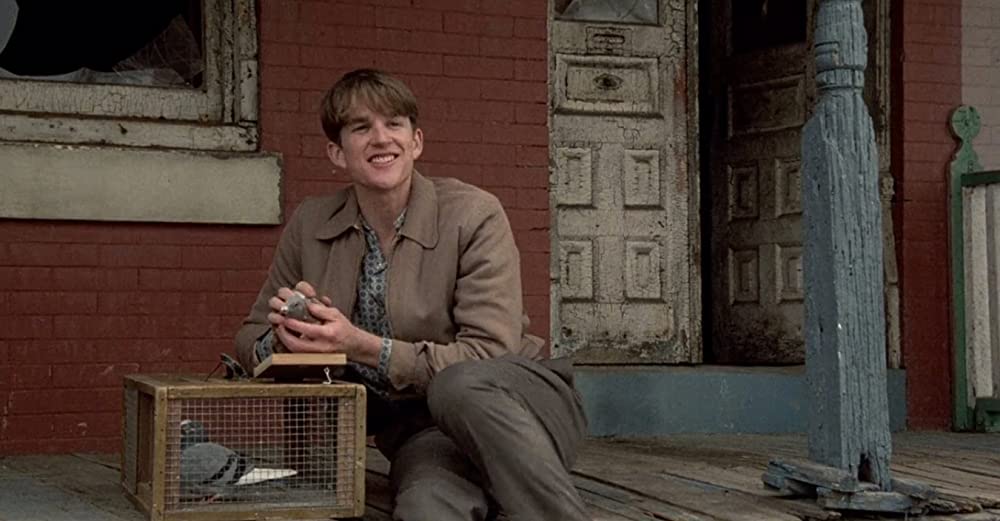 バーディの画像