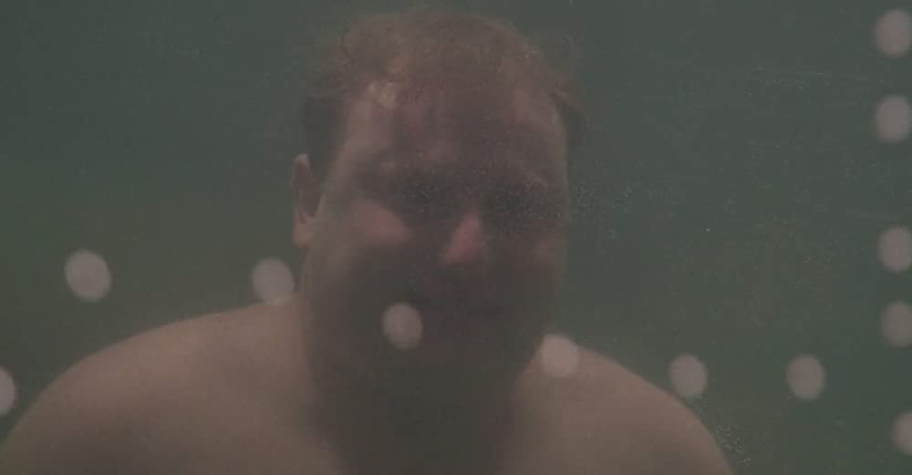 バーディの画像