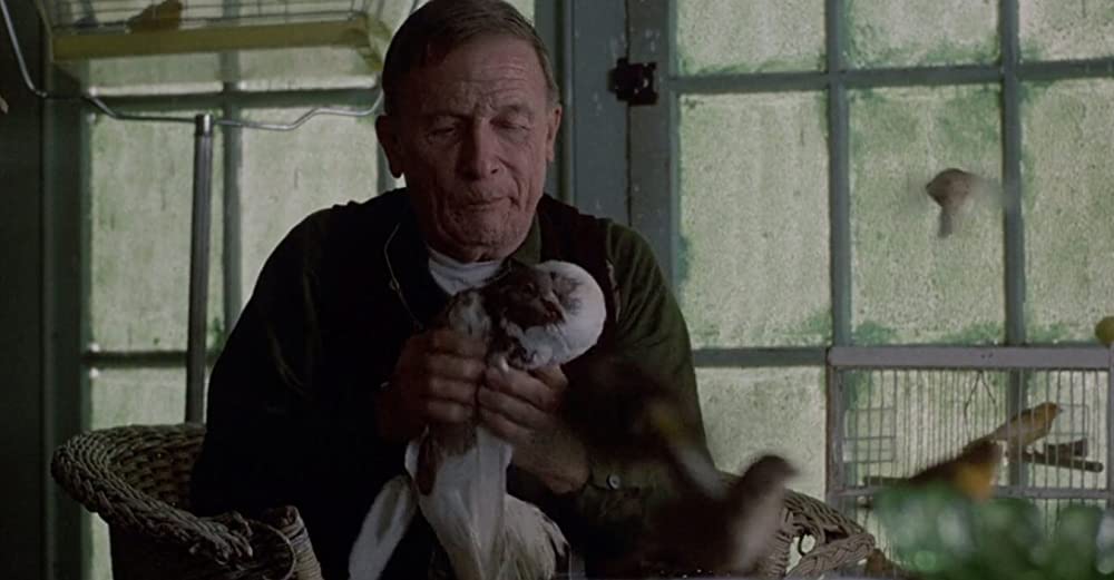 バーディの画像