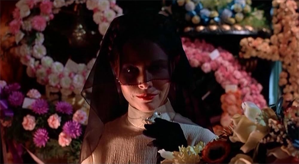 バレンチノ／ヴァレンティノの画像