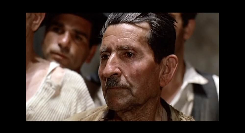 ゲルニカの木の画像