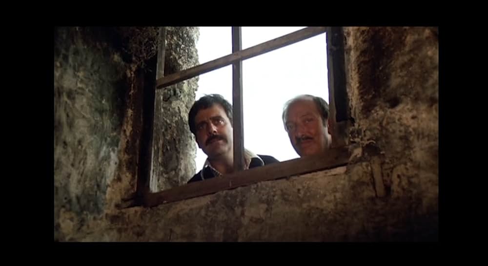 ゲルニカの木の画像