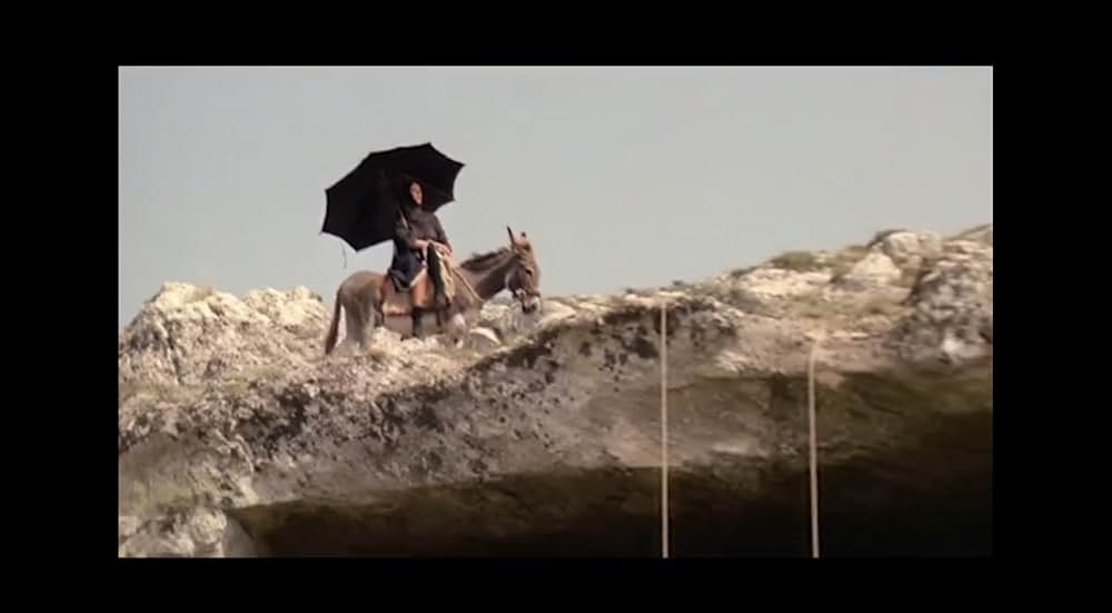 ゲルニカの木の画像