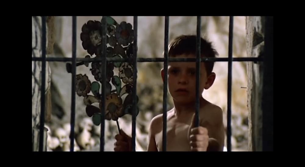 ゲルニカの木の画像