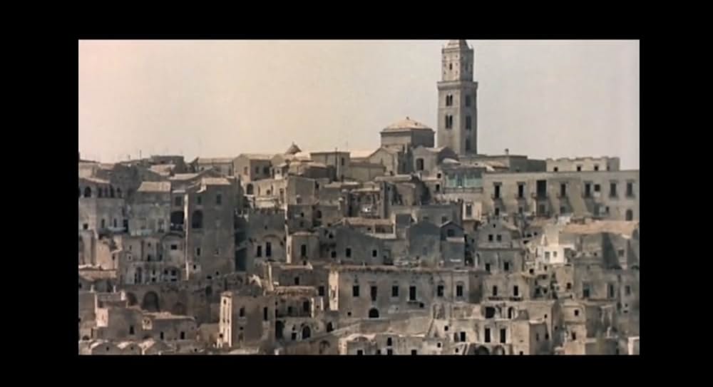 ゲルニカの木の画像