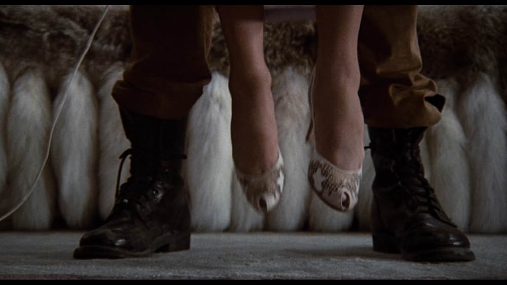 ボディ・ダブルの画像