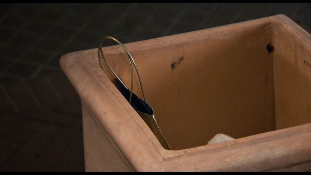 ボディ・ダブルの画像